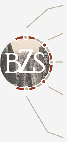 BZS Consultores