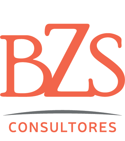 logo BZS consuiltores